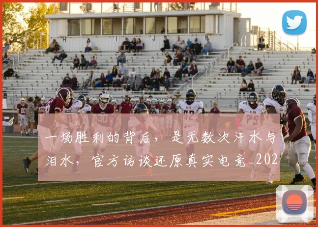 一场胜利的背后，是无数次汗水与泪水，官方访谈还原真实电竞_20260530144139_20260702173512